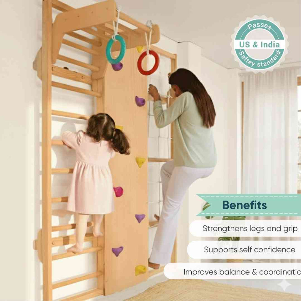 Wall Mounted Jungle Gym